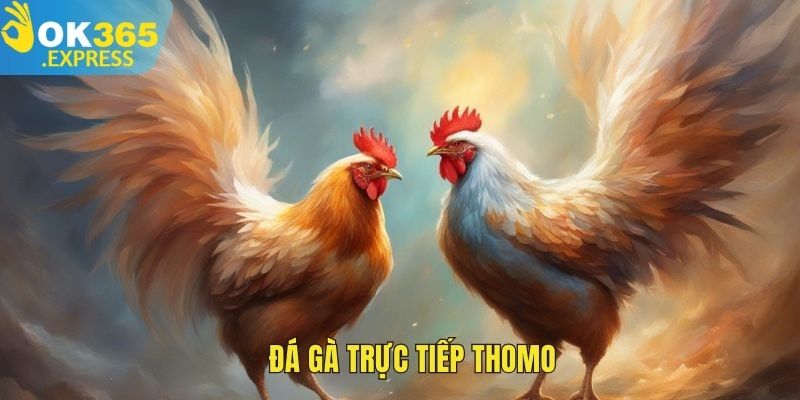 đá gà trực tiếp thomo